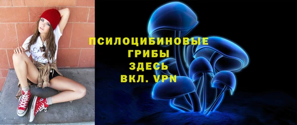 дурь Козловка