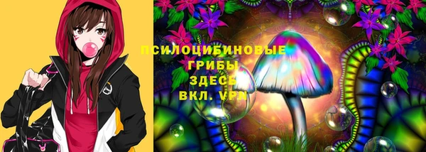 СК Алексин